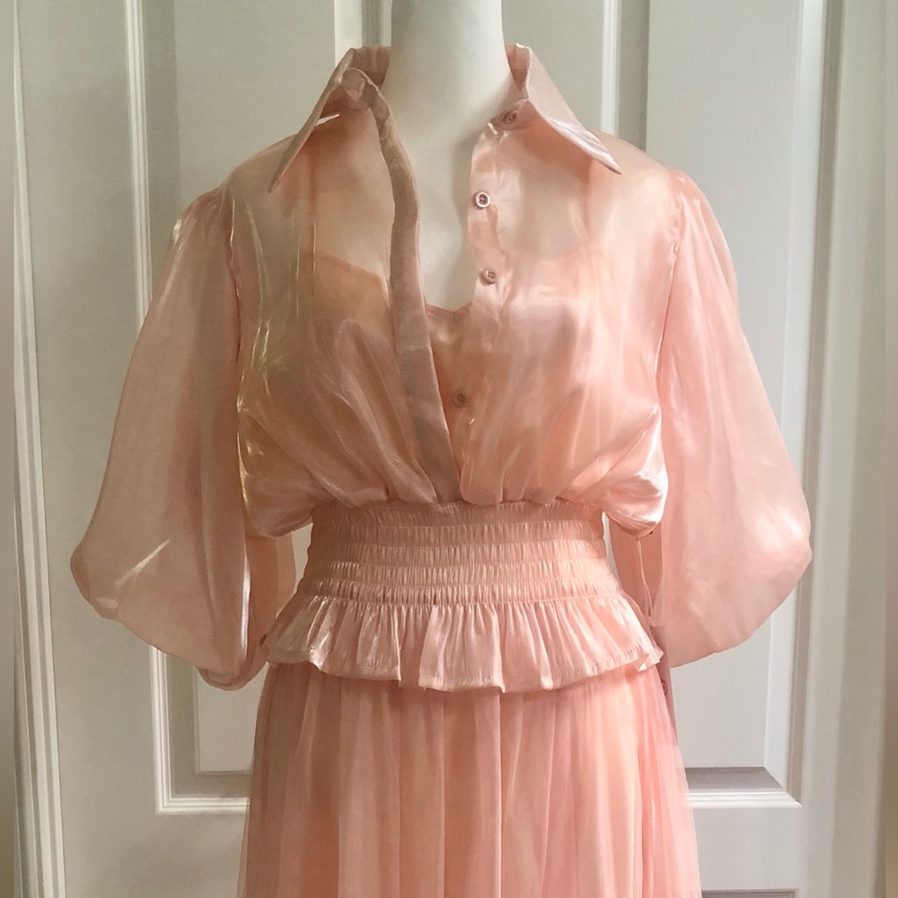 Danielle Emon shirt with train. Size Large. Soft, shimmery pink.